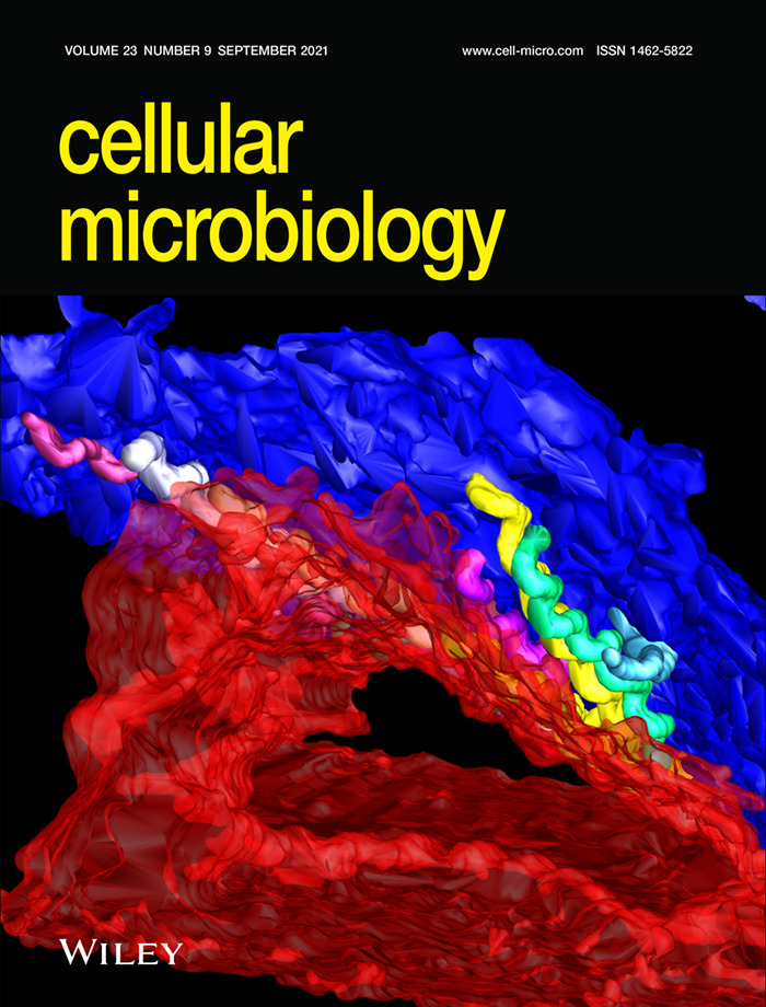 Cover Image: Disassembly of the apical junctional complex during the transmigration of Leptospira interrogans across polarized renal proximal tubule epithelial cells (Cellular Microbiology 09/2021)