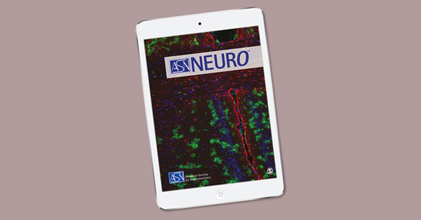 17β-Estradiol Attenuates Intracerebral Hemorrhage-Induced Blood–Brain Barrier Injury and Oxidative Stress Through SRC3-Mediated PI3K/Akt Signaling Pathway in a Mouse Model