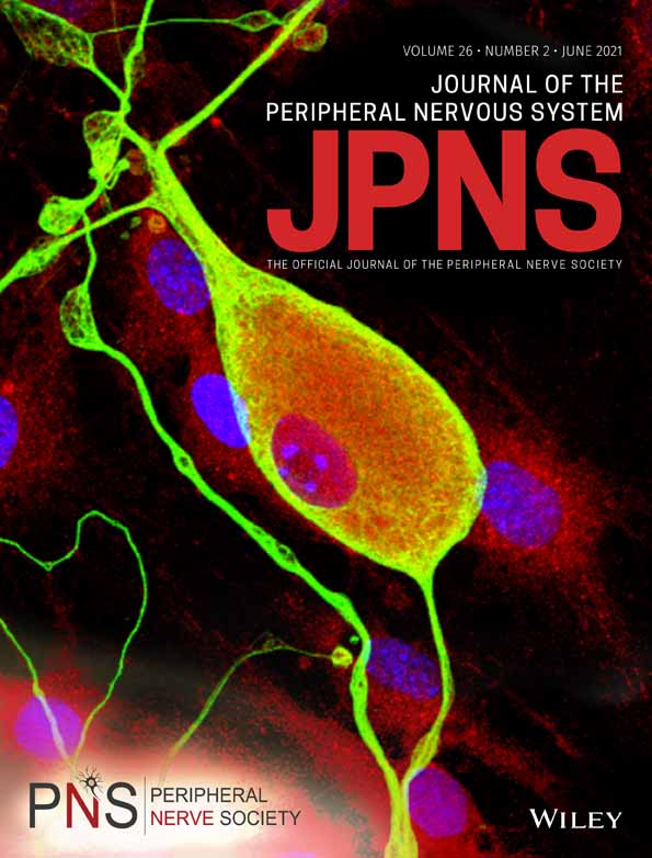 Nerve pathology in animal models of neuropathies