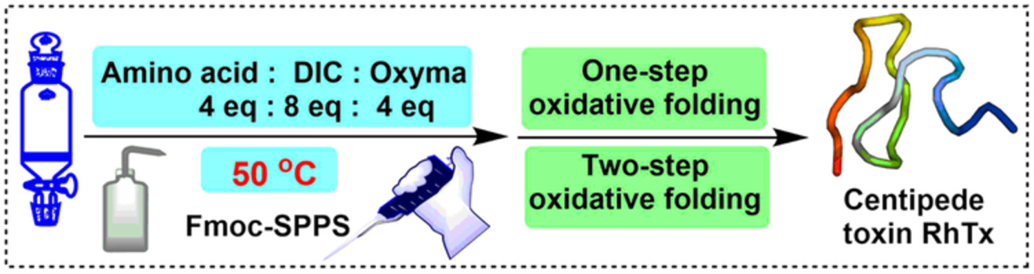 DIC/Oxyma‐based accelerated synthesis and oxidative folding studies of centipede toxin RhTx