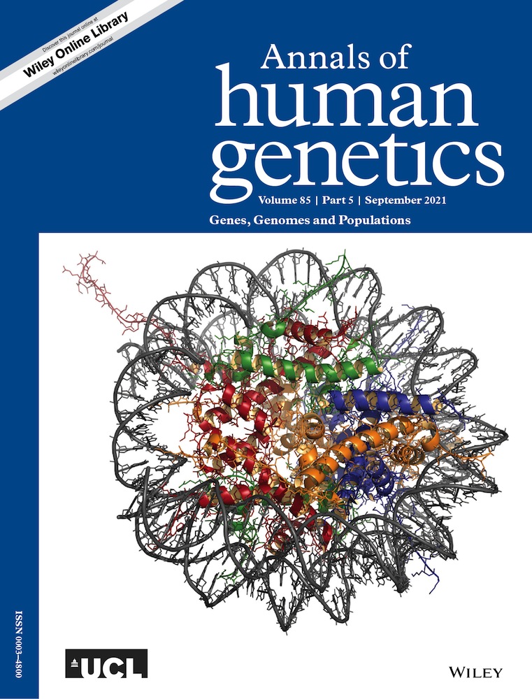 The hazards of genotype imputation in chromosomal regions under selection: A case study using the Lactase gene region