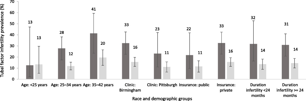 Tubal Factor Infertility, In Vitro Fertilization, and Racial Disparities: A Retrospective Cohort in Two US Clinics
