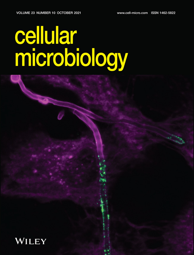 Cover Image: Candidalysin delivery to the invasion pocket is critical for host epithelial damage induced by Candida albicans (Cellular Microbiology 10/2021)