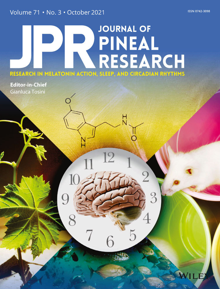 Fetal malnutrition is associated with impairment of endogenous melatonin synthesis in pineal via hypermethylation of promoters of protein kinase C alpha and cAMP response element‐binding
