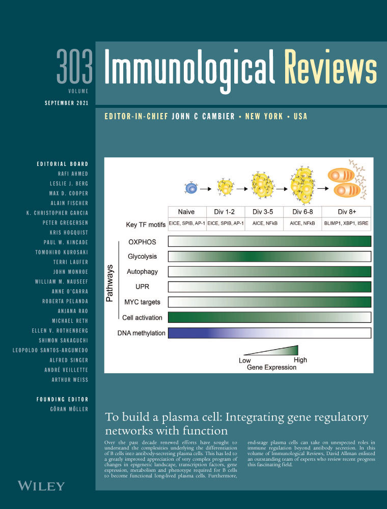 Regulation of airway immunity by epithelial miRNAs*