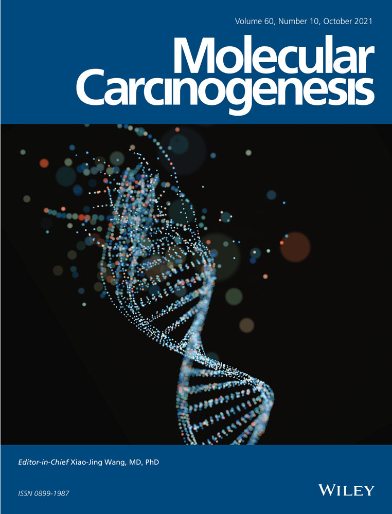 Amateur antigen‐presenting cells in the tumor microenvironment