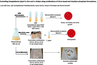 Controlling Campylobacter jejuni in vitro and in chicken using combinations of citrus‐based and trisodium phosphate formulations