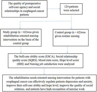The effect of nursing intervention guided by rehabilitation needs on the quality of postoperative self‐care agency and social relationships in esophageal cancer patients