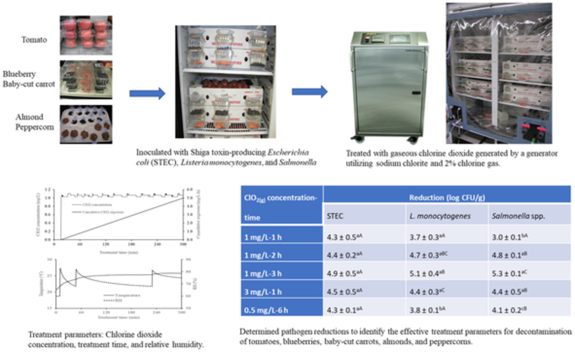 A pilot‐scale evaluation of using gaseous chlorine dioxide for decontamination of foodborne pathogens on produce and low‐moisture foods