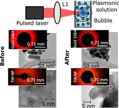 Laser‐induced cavitation in plasmonic nanoparticle solutions: A comparative study between gold and titanium nitride
