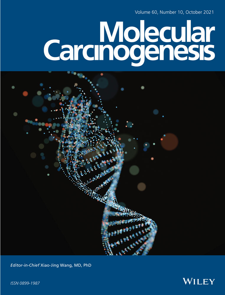 Prognostic signatures and potential pathogenesis of eRNAs‐related genes in colon adenocarcinoma