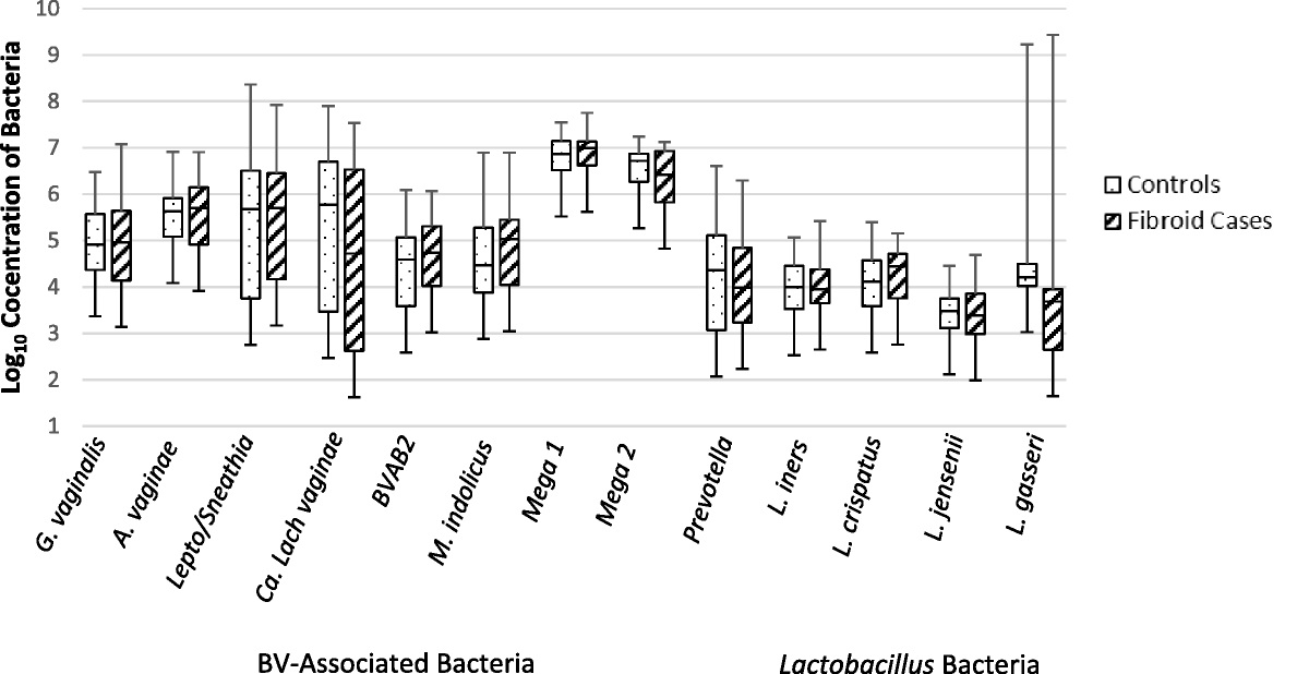 Bacterial Vaginosis–Associated Bacteria and Uterine Fibroids: A Nested Case-Control Study