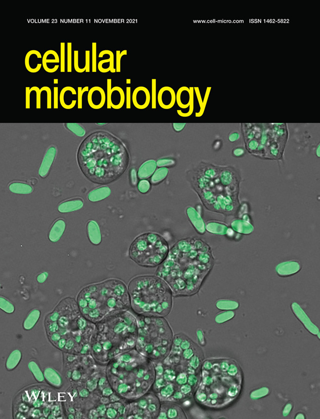 Cover Image: The fungivorous amoeba Protostelium aurantium targets redox homeostasis and cell wall integrity during intracellular killing of Candida parapsilosis (Cellular Microbiology 11/2021)