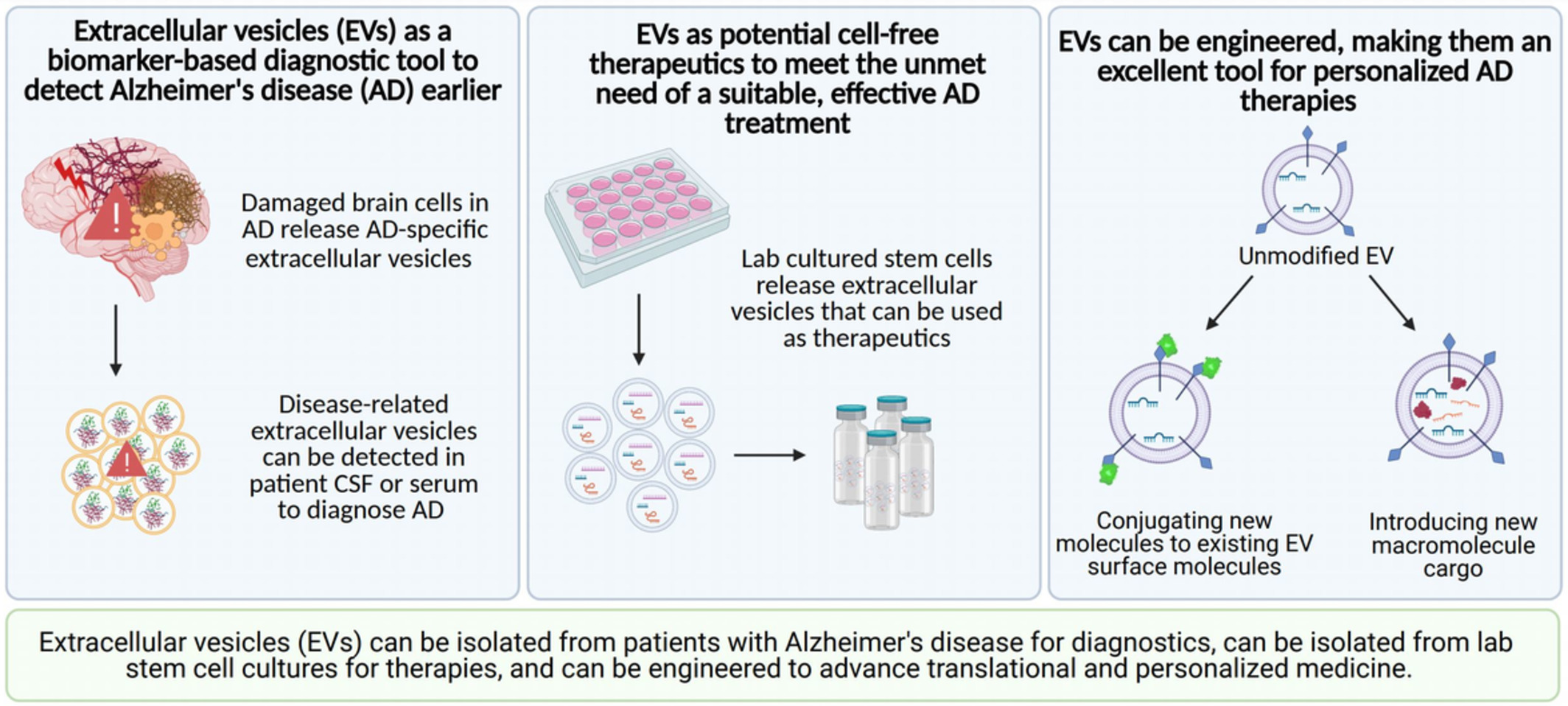 Engineering extracellular vesicles for Alzheimer's disease: An emerging cell‐free approach for earlier diagnosis and treatment