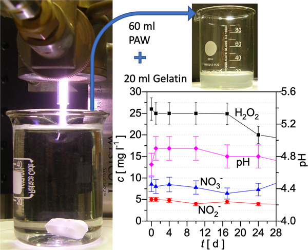 Efficient trapping of RONS in gelatin and physiological solutions