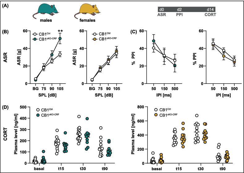 CB1 receptors in corticotropin‐releasing factor neurons selectively control the acoustic startle response in male mice