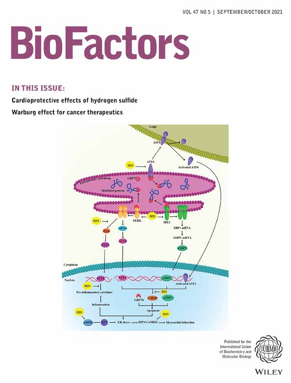 Celastrol attenuates high‐fructose diet‐induced inflammation and insulin resistance via inhibition of 11β‐hydroxysteroid dehydrogenase type 1 activity in rat adipose tissues