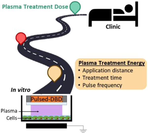 Toward defining plasma treatment dose: The role of plasma treatment energy of pulsed‐dielectric barrier discharge in dictating in vitro biological responses