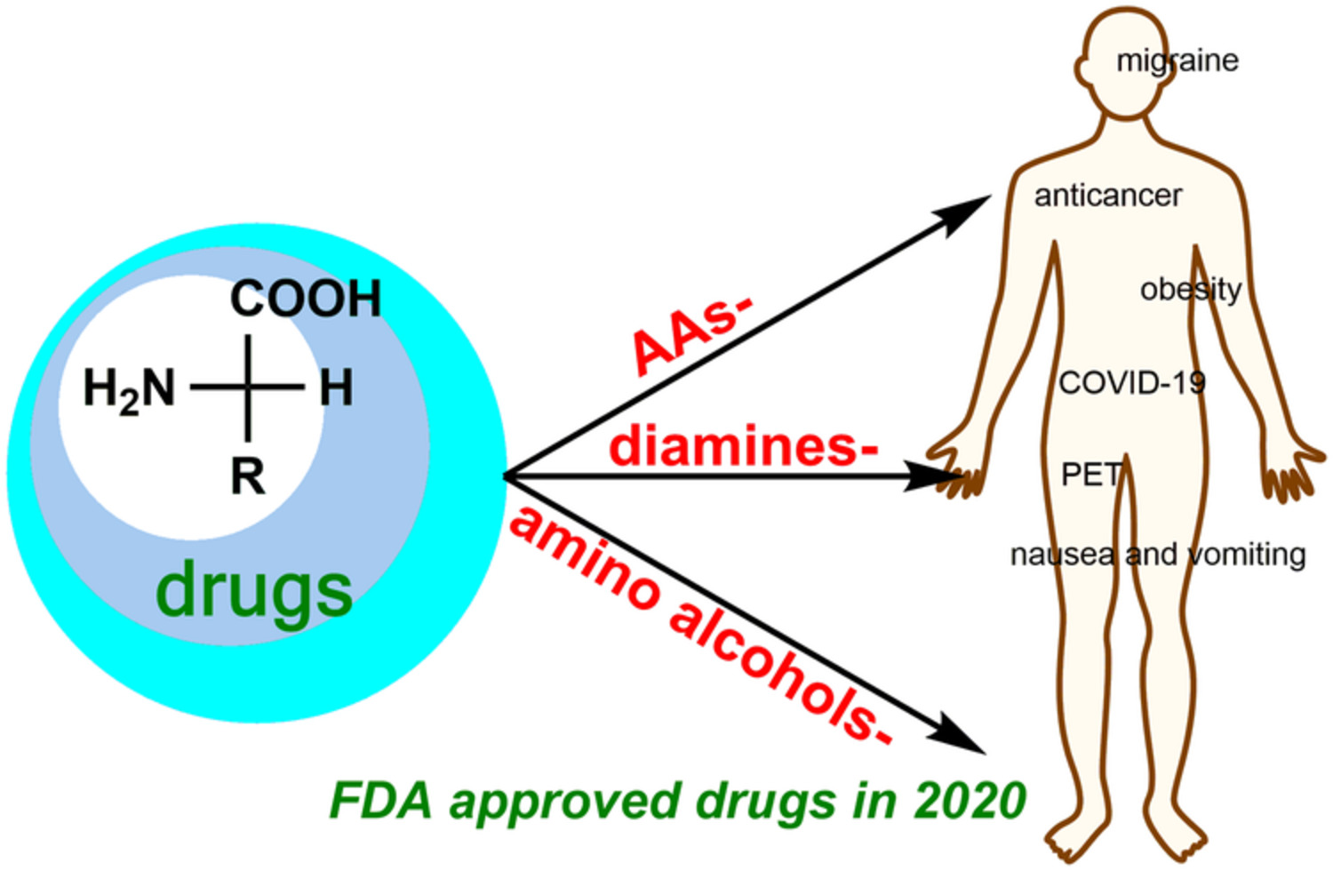 New pharmaceuticals approved by FDA in 2020: Small‐molecule drugs derived from amino acids and related compounds