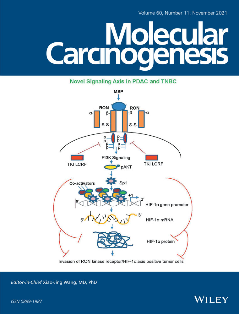 Transcriptional repression of E‐cadherin in nickel‐exposed lung epithelial cells mediated by loss of Sp1 binding at the promoter