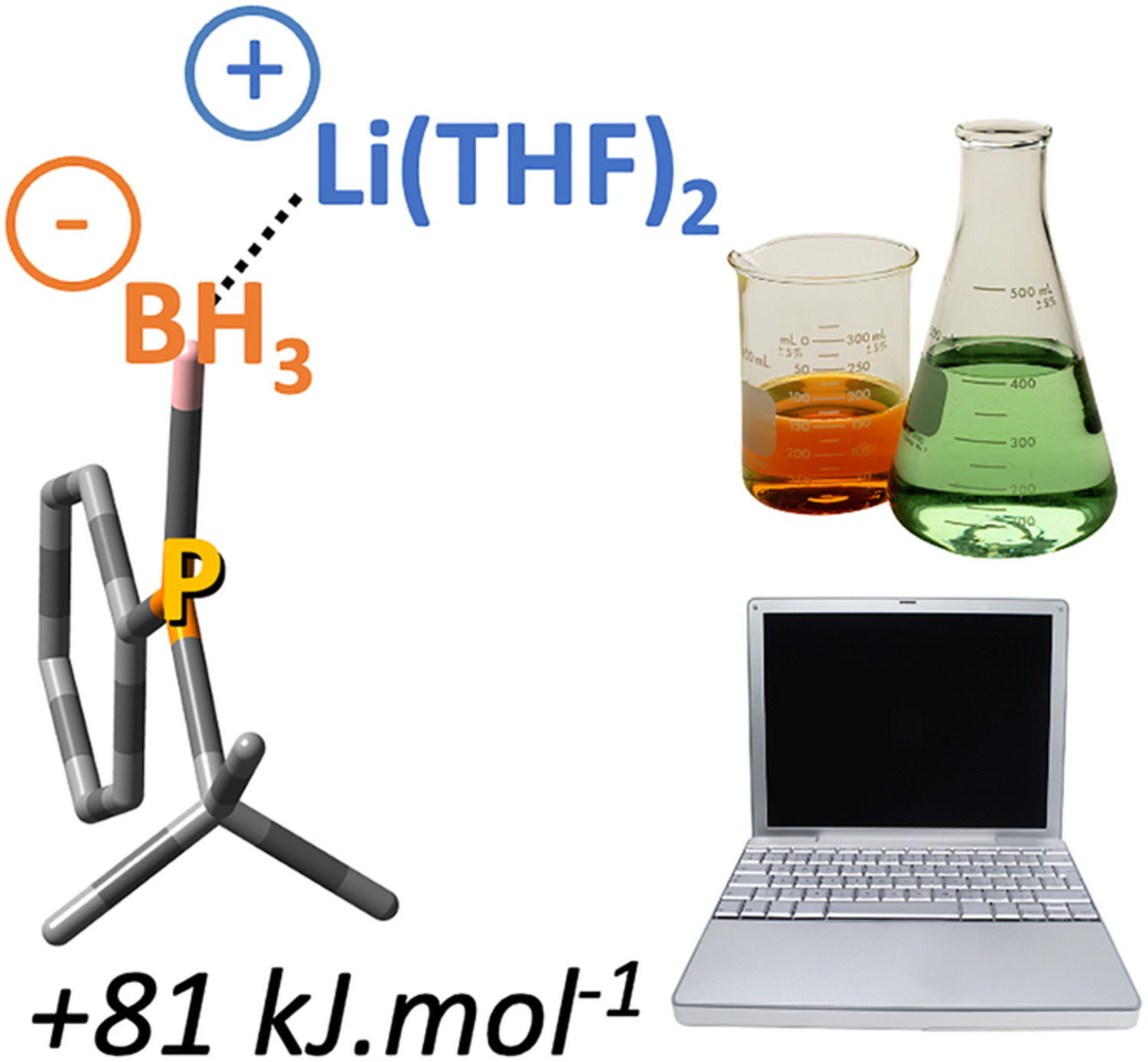 Racemization mechanism of lithium tert‐butylphenylphosphido‐borane: A kinetic insight