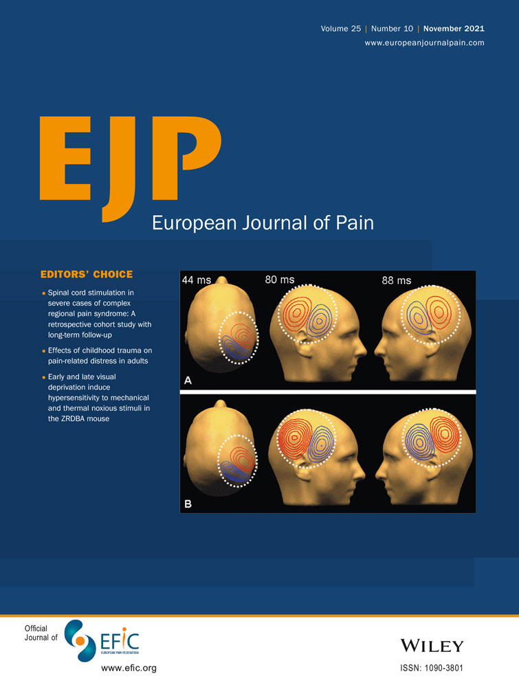 Longitudinal outcome evaluations of Interdisciplinary Multimodal Pain Treatment programmes for patients with chronic primary musculoskeletal pain: A systematic review and meta‐analysis