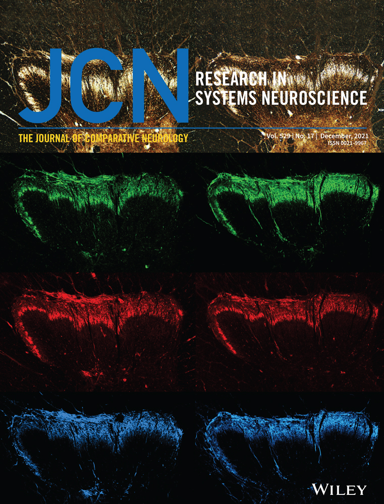Retinal patterns and the cellular repertoire of neuropsin (Opn5) retinal ganglion cells