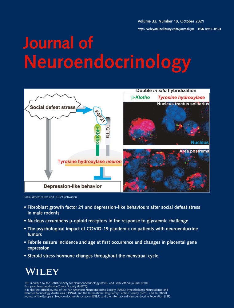 A Role for Deficits in GABAergic Neurosteroids and their Metabolites with NMDA Receptor Antagonist Activity in the Pathophysiology of PTSD