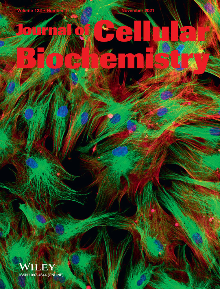 PAK1 and PAK2 in cell metabolism regulation