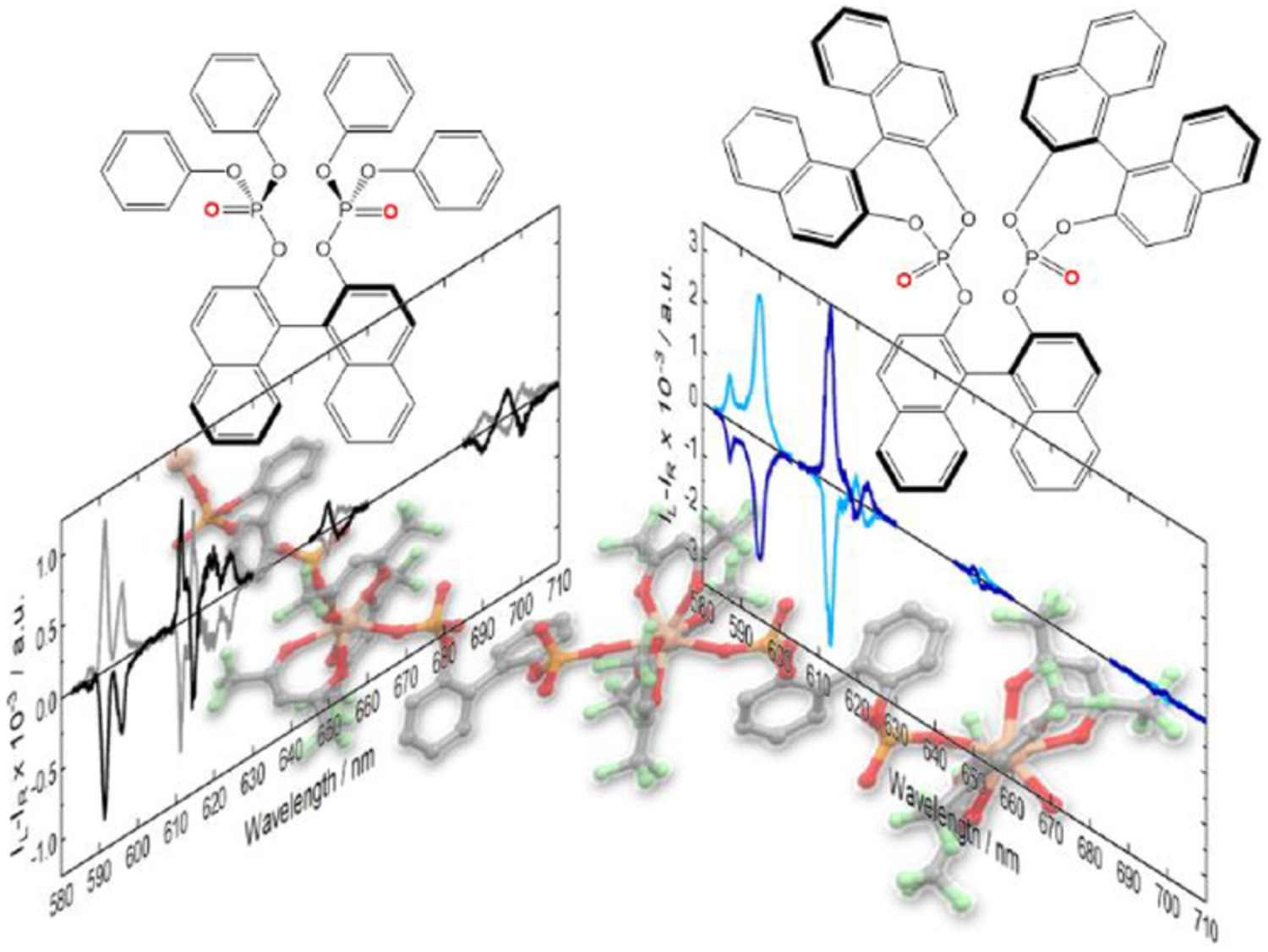 Circularly polarized luminescence of Eu(III) complexes with chiral 1,1′‐bi‐2‐naphtol‐derived bisphosphate ligands