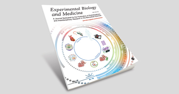 Structural analysis of SARS-Cov-2 nonstructural protein 1 polymorphisms found in the Brazilian Amazon