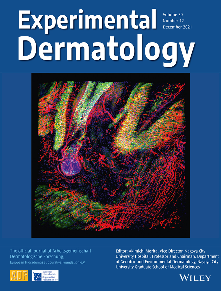Two novel mutations of the γ‐secretase genes in Chinese acne inversa (hidradenitis suppurativa)