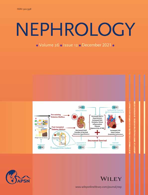 Salmonella Wandsworth peritoneal dialysis‐related peritonitis following persistent infection: A case report with a review of literature