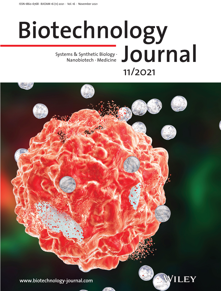Mechanistic discoveries and simulation‐guided assay optimization of portable hormone biosensors with cell‐free protein synthesis