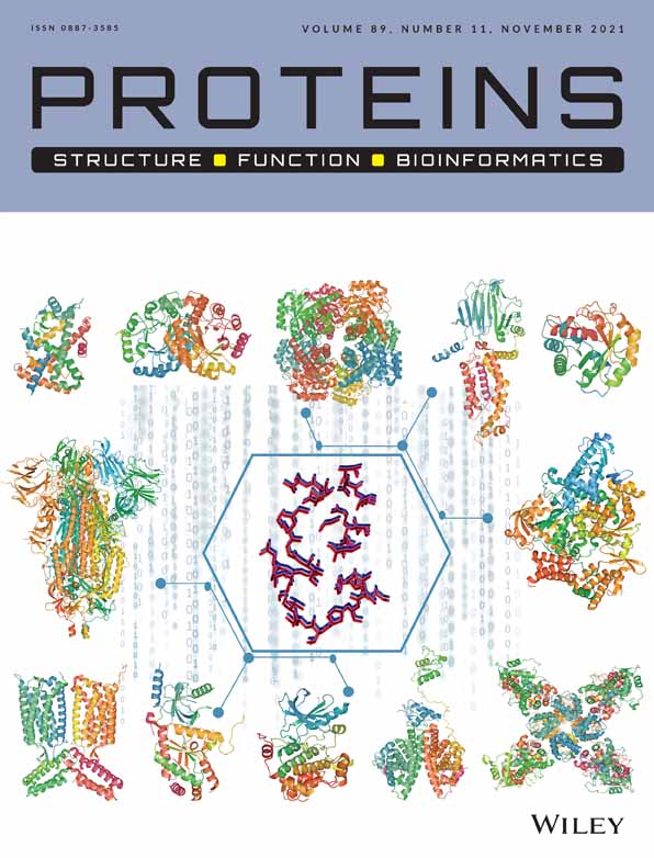 Mycobacterial membrane protein Large 3‐like‐family proteins in bacteria, protozoa, fungi, plants, and animals: A bioinformatics and structural investigation