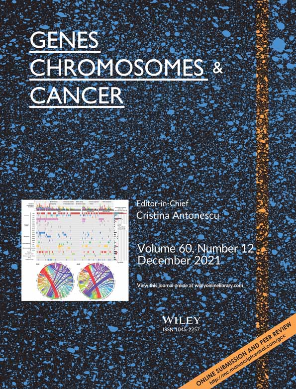 Molecular Analysis of 10 Pleomorphic Rhabdomyosarcomas Reveals Potential Prognostic Markers and Druggable Targets