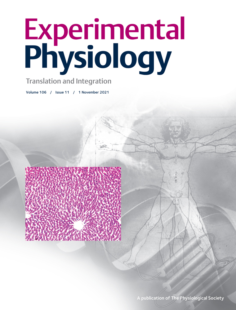 Hyperpolarized [1‐13C]pyruvate combined with the hyperinsulinaemic euglycaemic and hypoglycaemic clamp technique in skeletal muscle in a large animal model