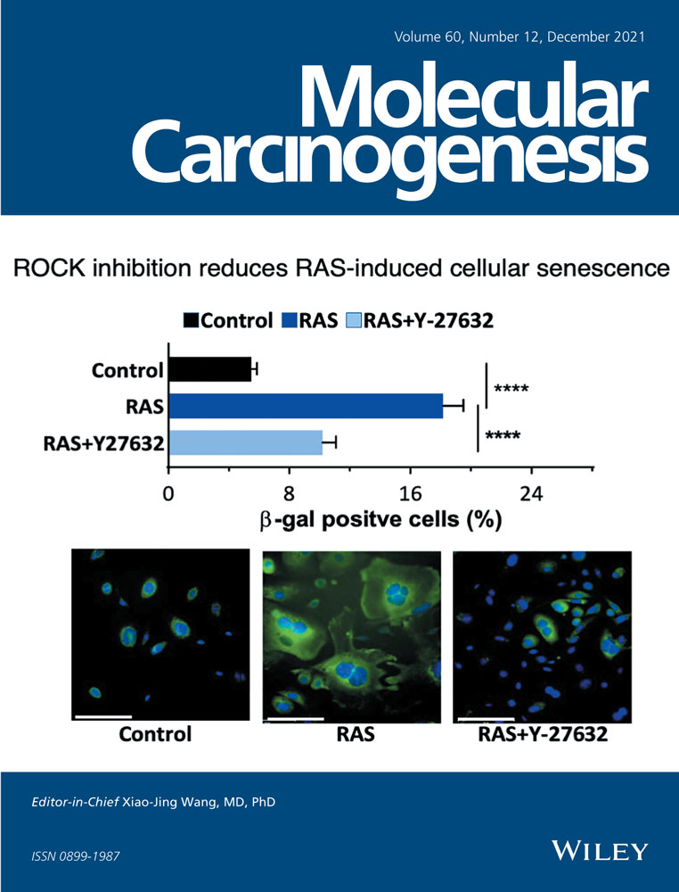 MicroRNA‐519d‐3p antagonizes osteosarcoma resistance against cisplatin by targeting PD‐L1