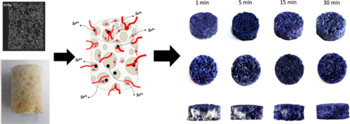 Fabrication and characterization of a bioactive polymethylmethacrylate‐based porous cement loaded with strontium/calcium apatite nanoparticles