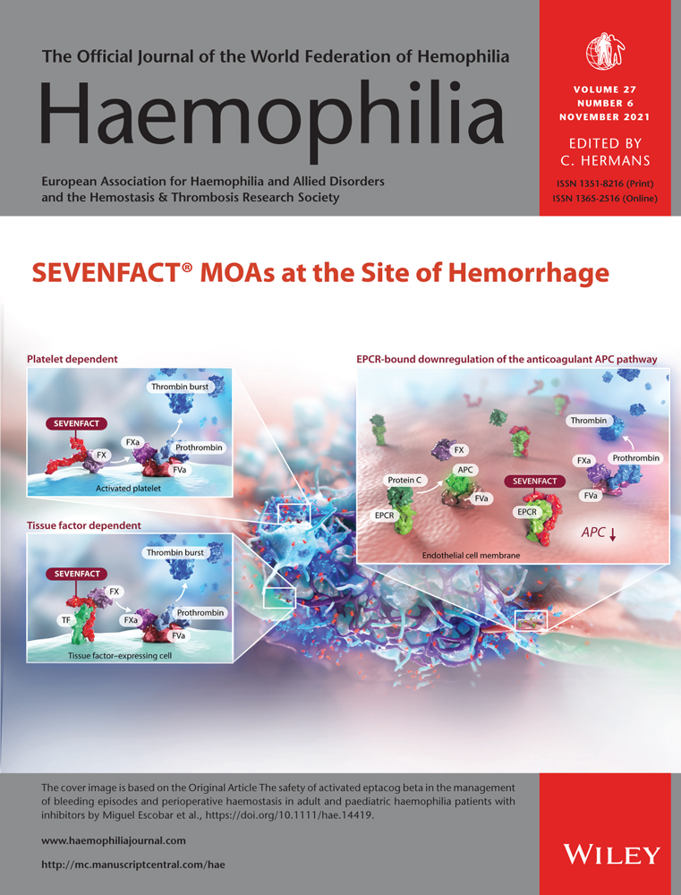 Sexual issues in people with haemophilia: Awareness and strategies for overcoming communication barriers