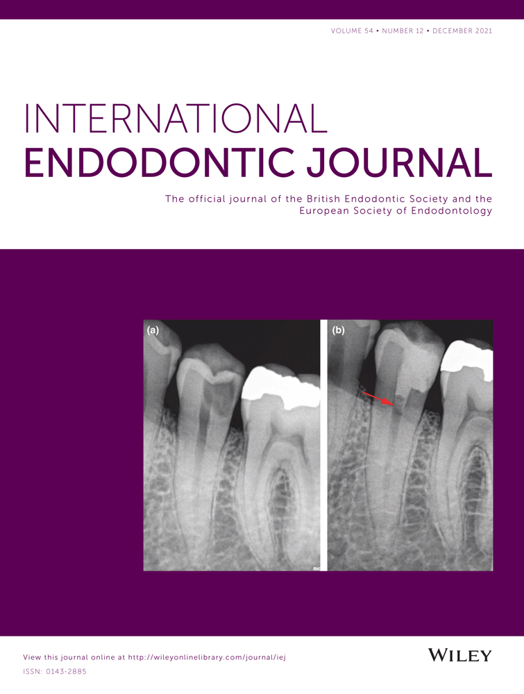 New Editor‐in‐Chief of the International Endodontic Journal