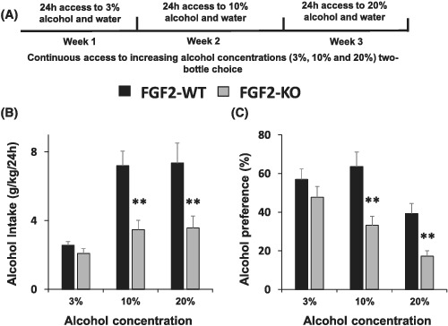 FGF2 is an endogenous regulator of alcohol reward and consumption