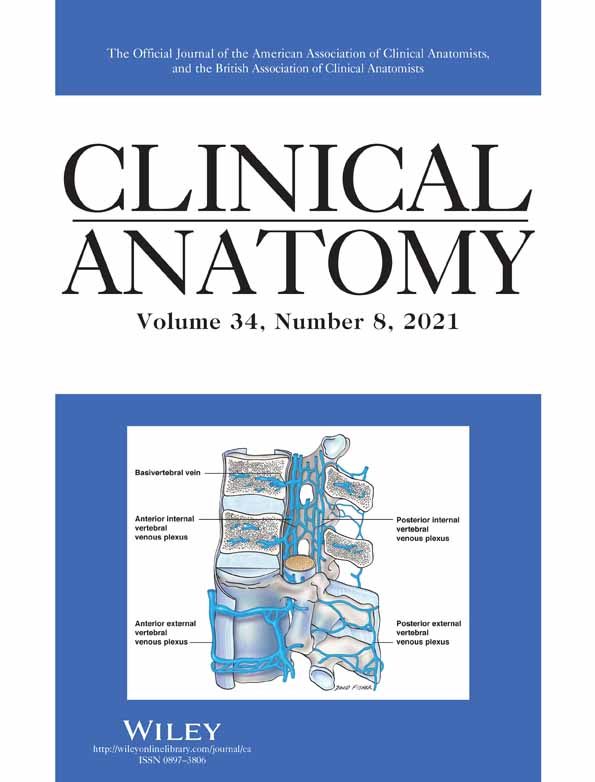 Surgical safe zones for oblique lumbar interbody fusion of L1‐5: A cadaveric study