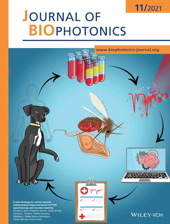 Inactivation of multidrug‐resistant bacteria and bacterial spores and generation of high‐potency bacterial vaccines using ultrashort pulsed lasers