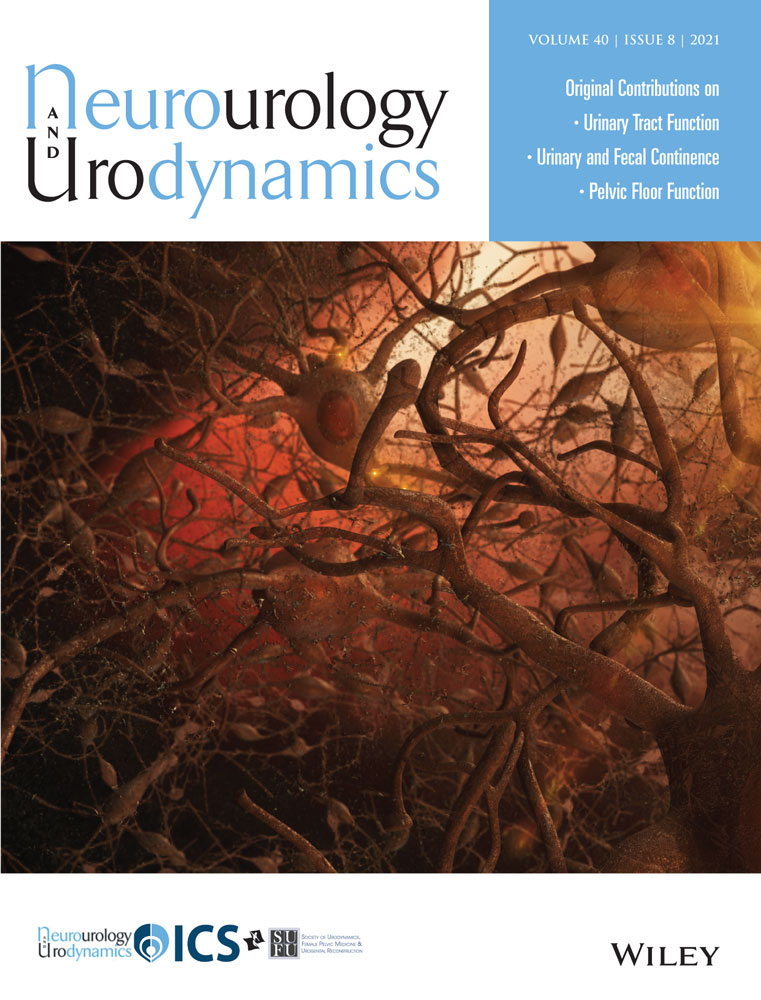 Geometric analysis of the urethral‐vaginal interface curvature in women with and without stress urinary incontinence: A pilot magnetic resonance imaging study