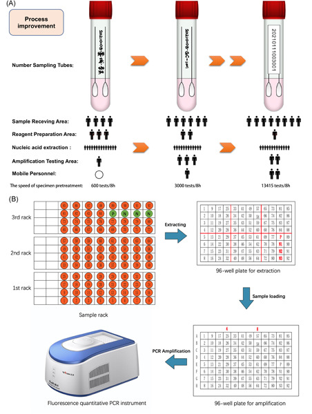 Laboratory management for large‐scale population screening for SARS‐CoV‐2