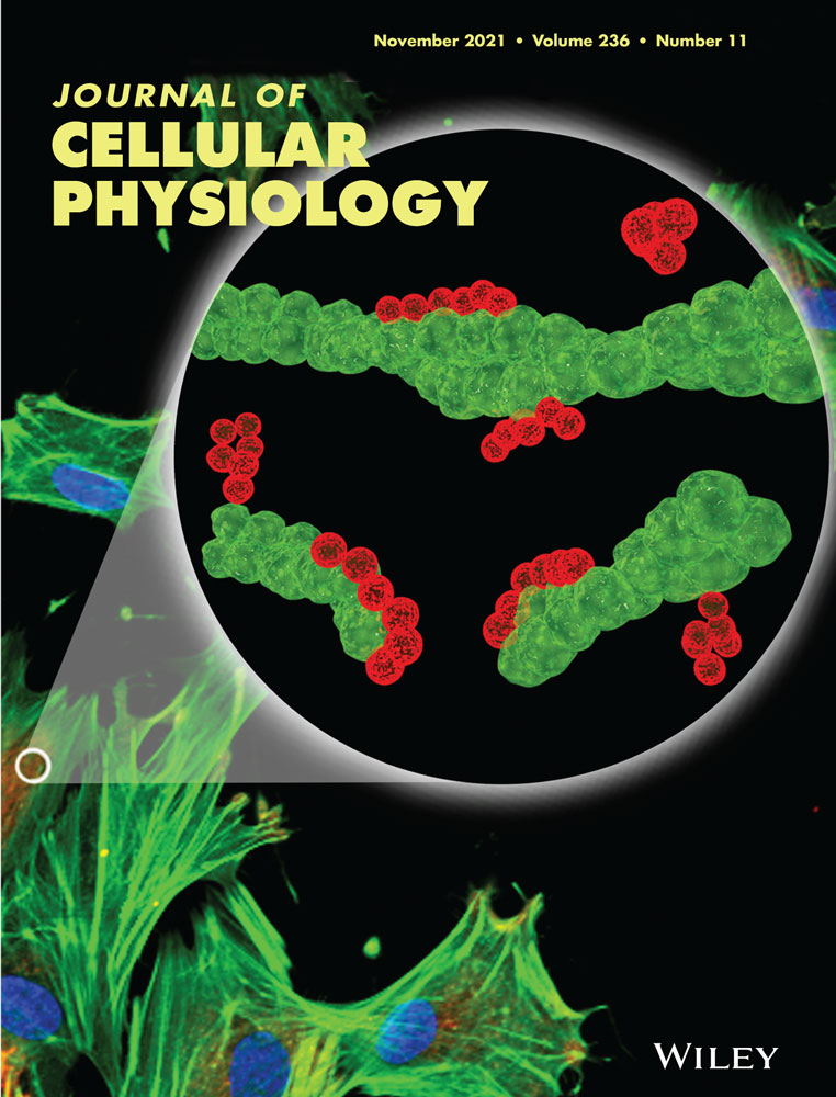 The role of trimethylamine‐N‐Oxide in the development of Alzheimer's disease