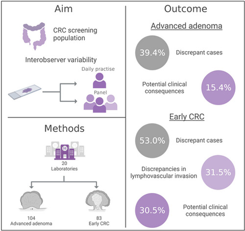 Diagnostic variability in the histopathological assessment of advanced colorectal adenomas and early colorectal cancer in a screening population
