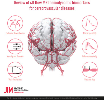 4D flow MRI hemodynamic biomarkers for cerebrovascular diseases