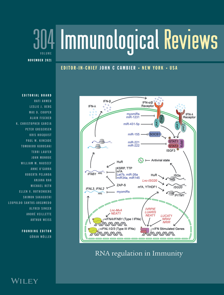 Epigenetics and tissue immunity—Translating environmental cues into functional adaptations*